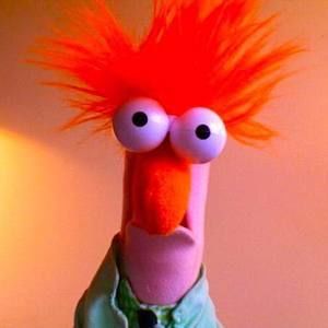 Meet your Posher, Debi